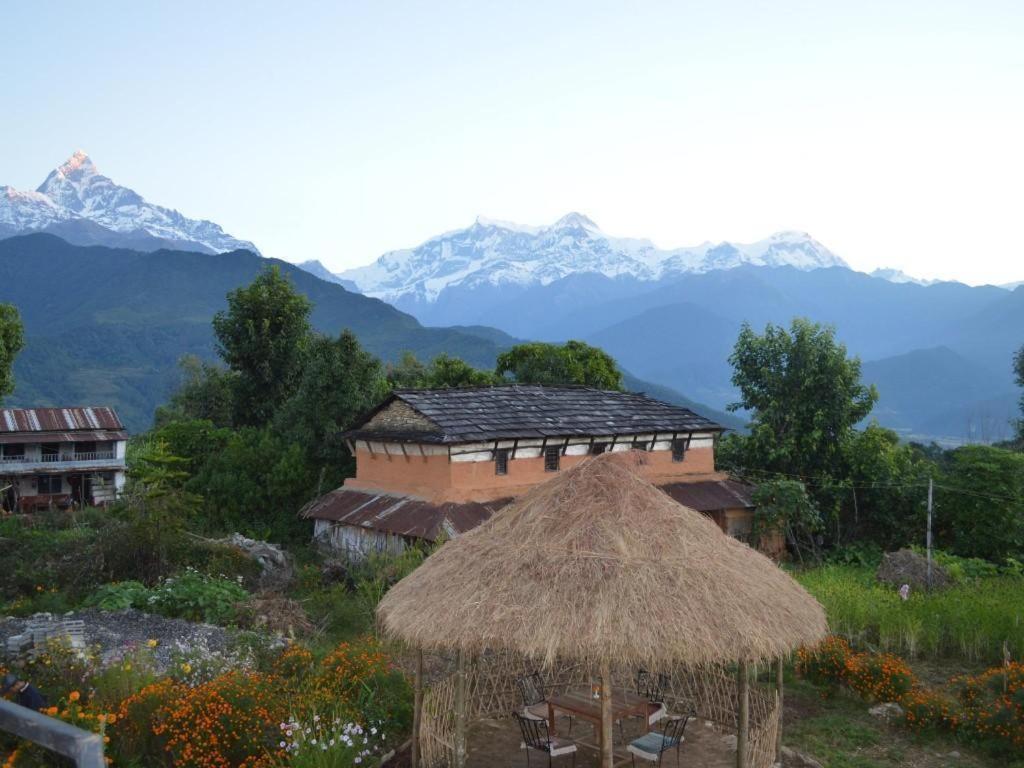 Mystique Highland Resort Pokhara Eksteriør bilde